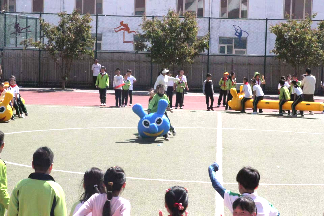 26050609