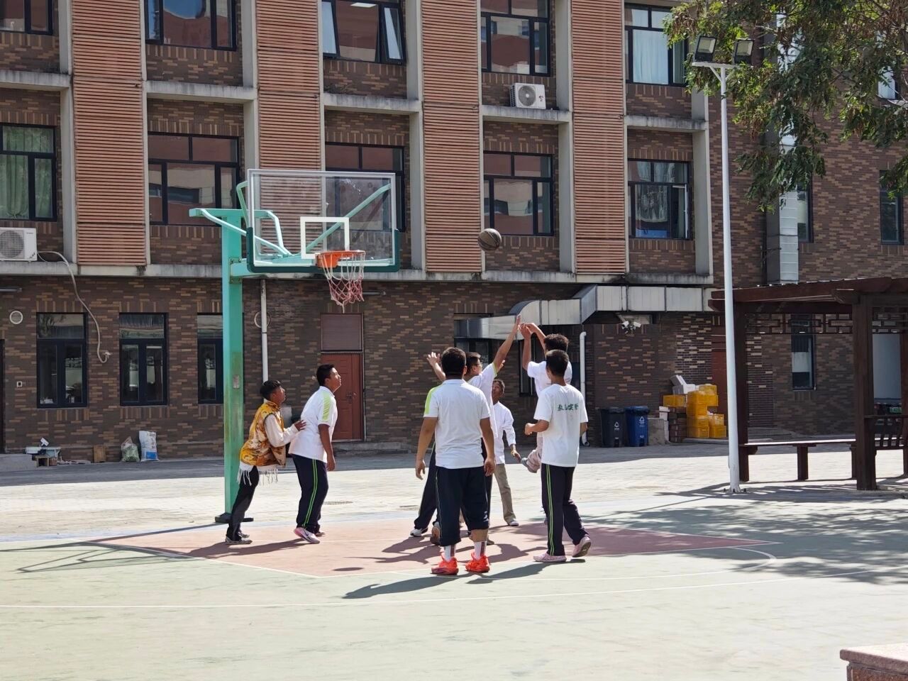 图片