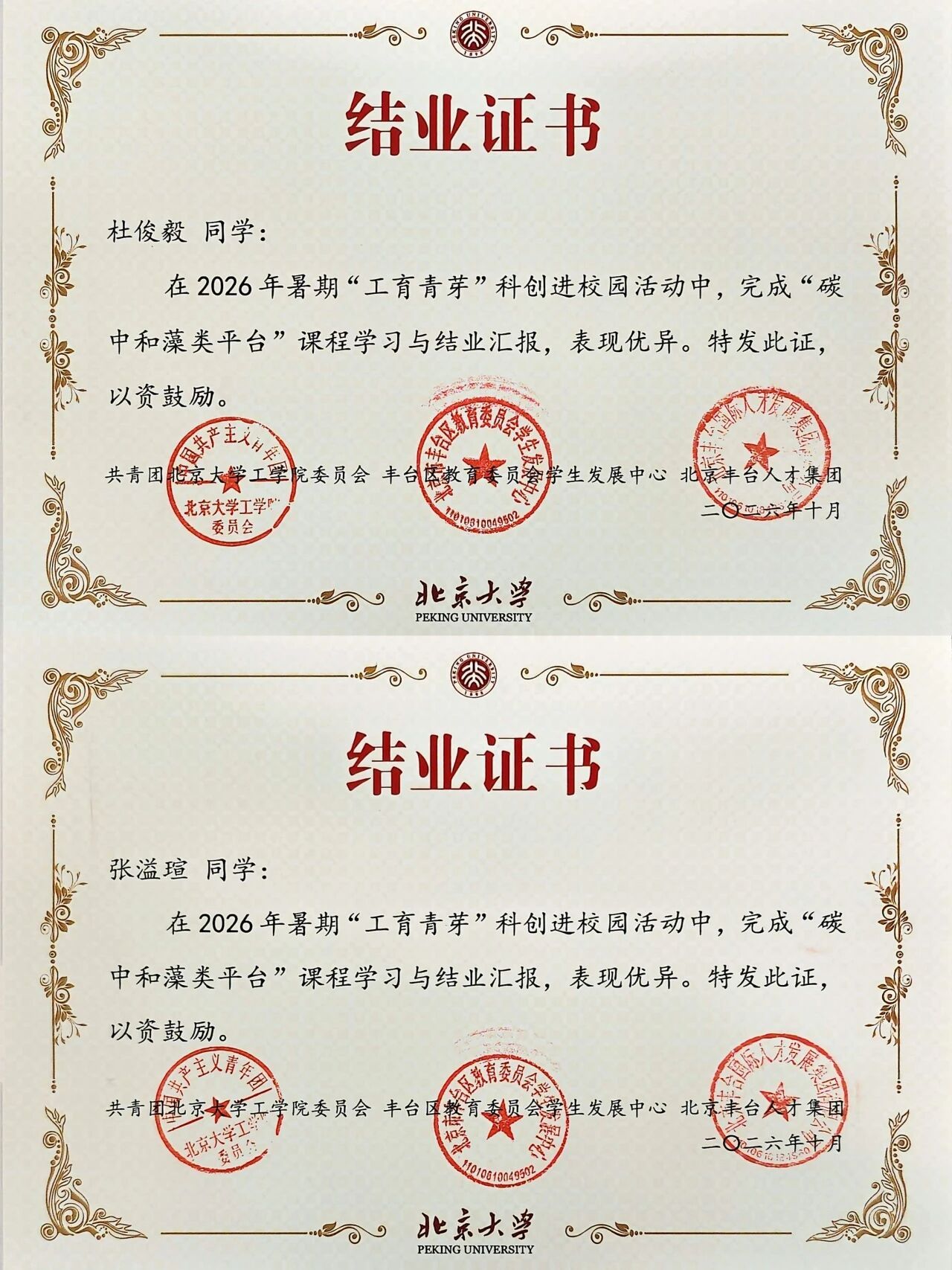 26101325